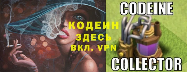 прущие крисы Абаза