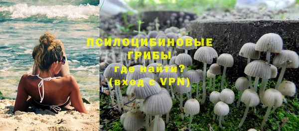шишки Абдулино