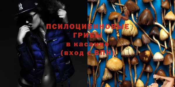 хмурый Алзамай