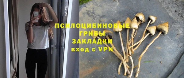 стаф Алексин