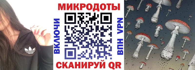 Псилоцибиновые грибы Magic Shrooms  закладка  ссылка на мегу ссылки  Сальск 