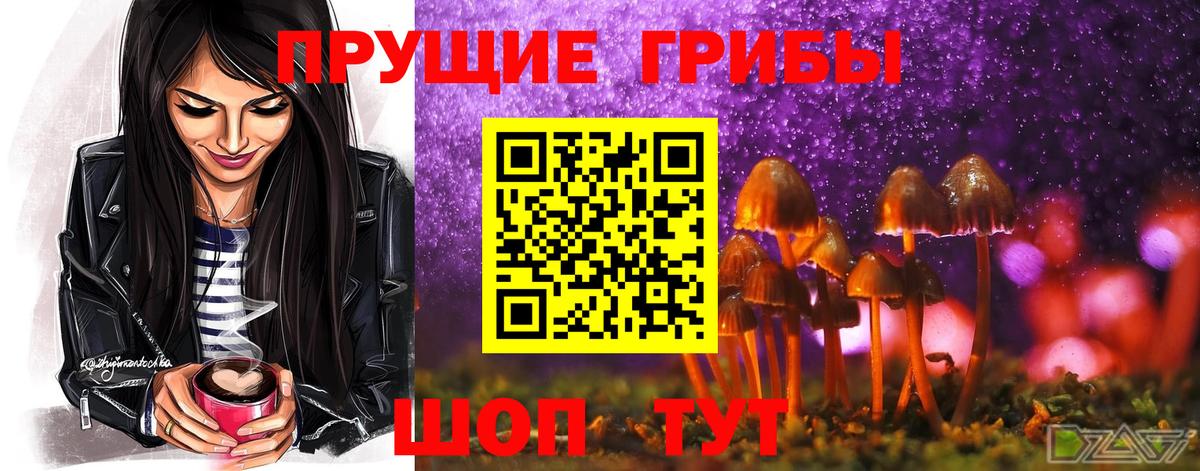 Сальск  Псилоцибиновые грибы Magic Shrooms  Вход с VPN  Псилоцибиновые грибы ЛСД 